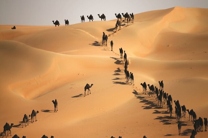 Full Day LIWA 4x4 Safari With Lunch Included From Abu Dhabi - Itinerary for Full Day LIWA 4x4 Safari