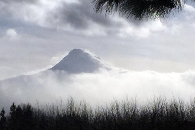 Full-Day Mt Hood Waterfall Tour With Lunch and Wine Tasting - Tour Experience