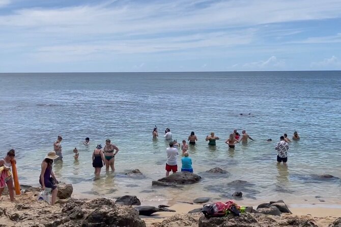 Full Day Oahu Guided Circle Island Tour Inc Snorkel and Turtles - Tour Inclusions and Itinerary