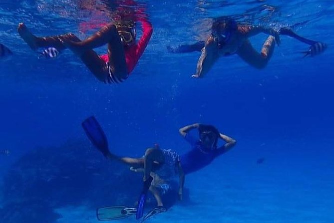 Full-Day Private Boat Tour of Bora Bora Lagoon With Snorkel - Meeting and Pickup Details
