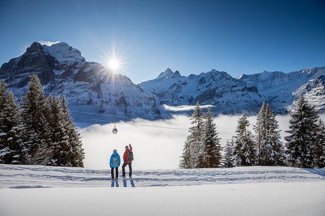 Full Day Private Guided Scenic Train Tour to the Swiss Alps - Directions