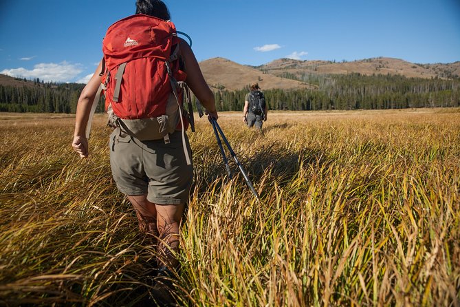 Full-Day Private Hike in Yellowstone National Park - Cancellation Policy