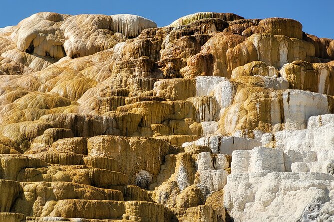 Full-Day Private Safari of Yellowstone - Meeting and Pickup
