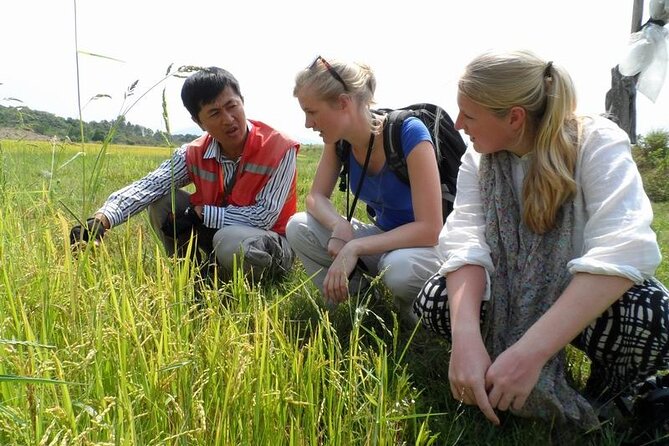 Full Day Private Silk Village And Elephant Waterfall Tour - Tour Details and Itinerary