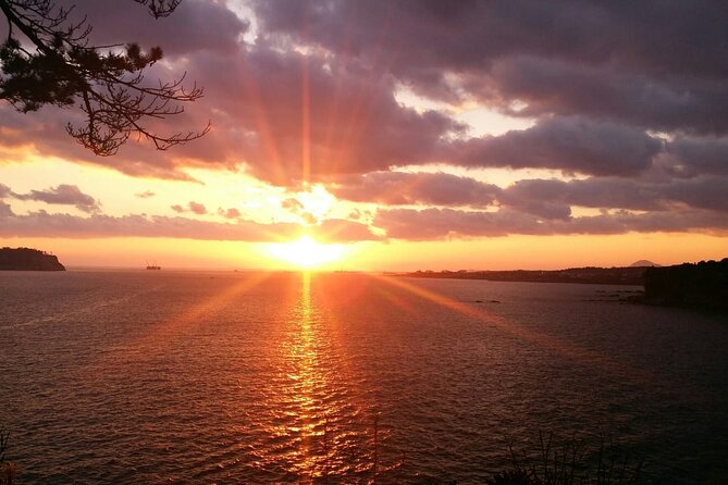 Full-Day Private South and West of Jeju Island Taxi Tour - Recommended Stops