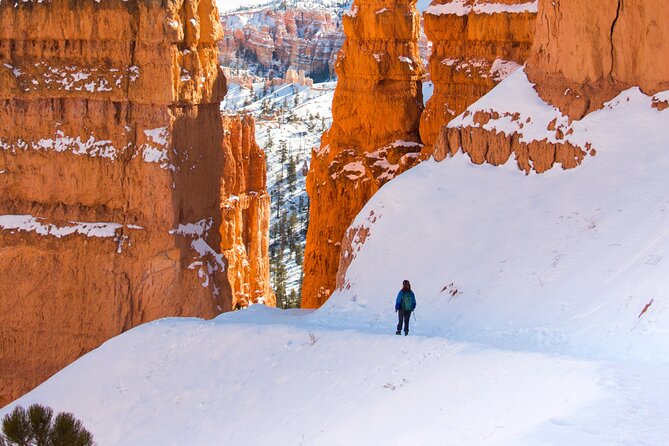 Full-Day Private Tour and Hike in Bryce Canyon National Park - Meeting and Pickup