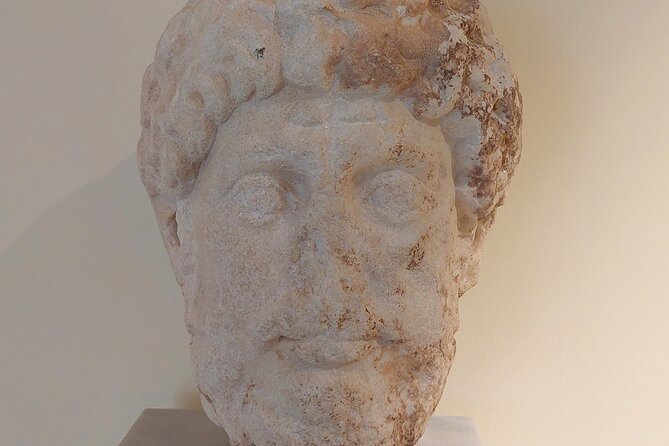 Full-day Private Tour in the Archaeological Museum of Philippi - Inclusions