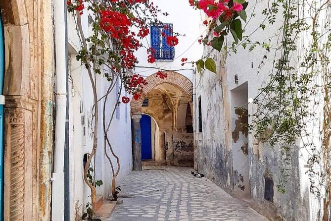 Full Day Private Tour Medina of Tunis, Carthage, Sidi Bousaid With Lunch - Itinerary Overview