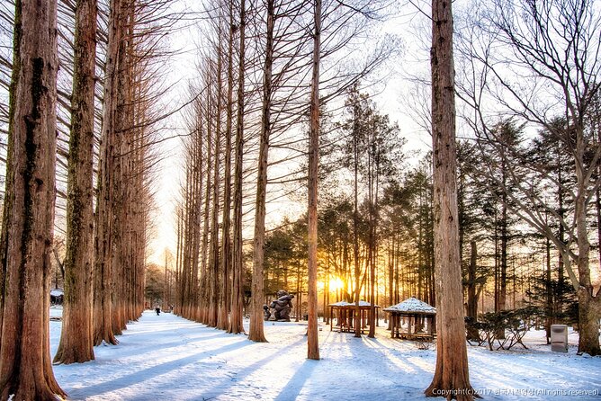Full Day Private Tour Nami Island & Gangchon Elysian Ski - Cancellation Policy