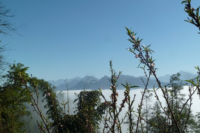 Full Day Private Trekking in Sapa Hmong - Taking in the Rich Culture of Sapa Hmong