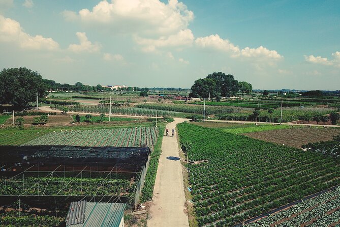 Full-Day Red River Bike Tour From Hanoi With Lunch and Pickup - Traveler Photos