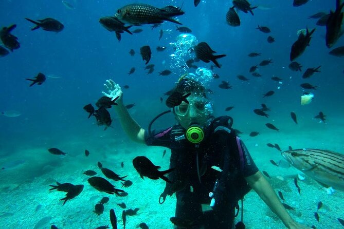 Full-Day Scuba Diving Experience in Alanya With Lunch and Pick Up - What to Expect