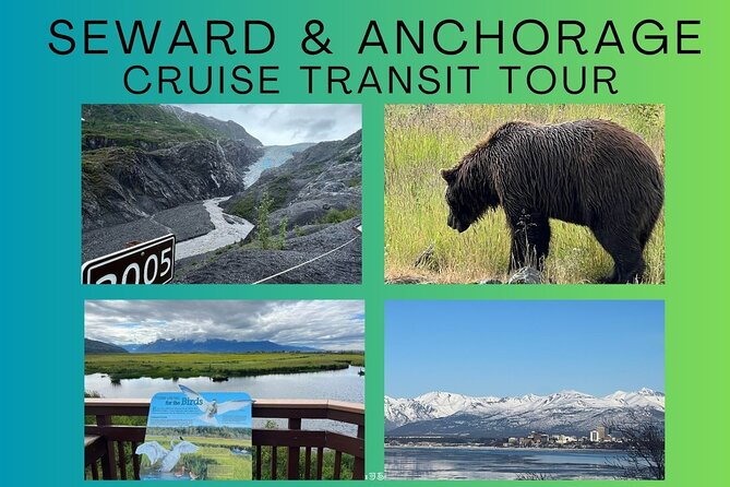 Full-Day Seward Cruise Transit Tour to Anchorage - Traveler Photos