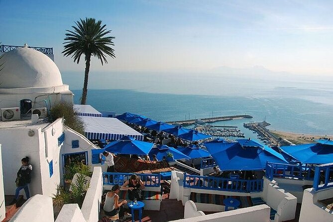Full-Day Shore Excursion Private Tour in Tunisia Carthage ,Medina, Sidi Bou Said - Exploring the Medina: Tunisian Culture and Traditions