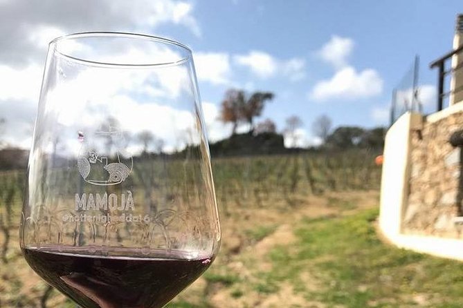 Full Day-Small Group: Barbagia Experience: Mamoiada and Orgosolo From Cagliari - Important Booking Information