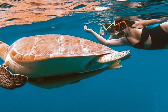 Full-Day Snorkeling Tour to Culebra Island With Lunch - Snorkeling Excursion to Flamenco Beach