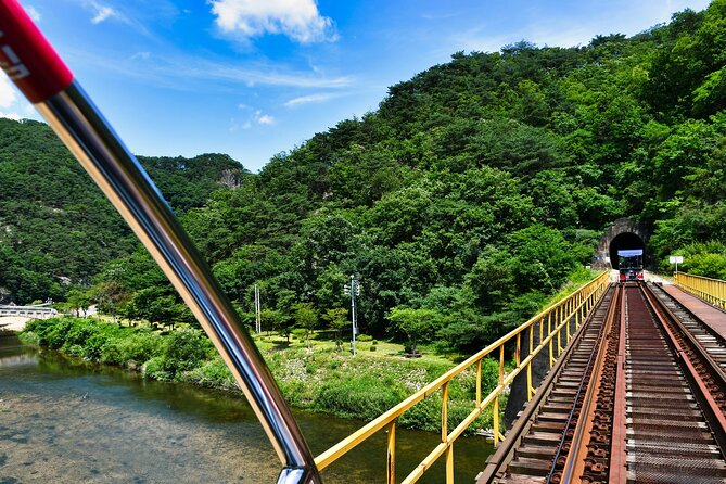 Full Day Strawberry Picking and Rail Bike in Nami Island - Full Day Itinerary: Strawberry Picking and Rail Bike Adventure