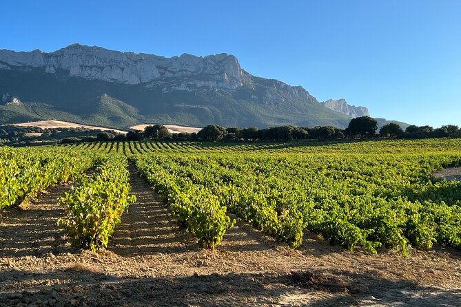 Full Day Tasting The Unknown Rioja Wine Region - Meeting Winery Proprietors