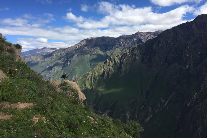 Full Day Tour / Colca Canyon - Meeting and Pickup