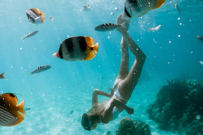 Full Day Tour : Moorea Snorkeling & Sunset Cruise on a Catamaran Named Taboo - Start and End Time, Pickup Details
