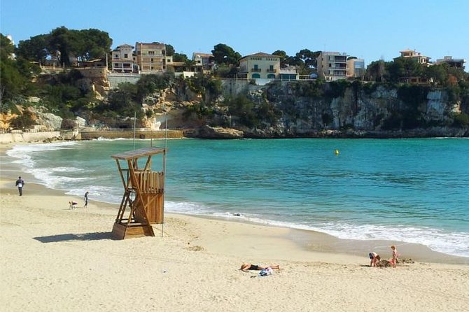 Full Day Tour to Caves of Drach and Hams With Porto Cristo and Pearl Factory - Reviews and Feedback