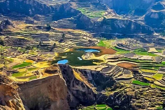 Full Day Tour to Colca Canyon From Arequipa - Reviews