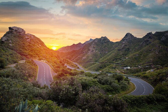 Full Day Tour With Certified Guide in Tenerife - End Point and Cancellation Policy