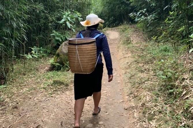 Full Day Trekking in Sapa - Meeting and Pickup Information