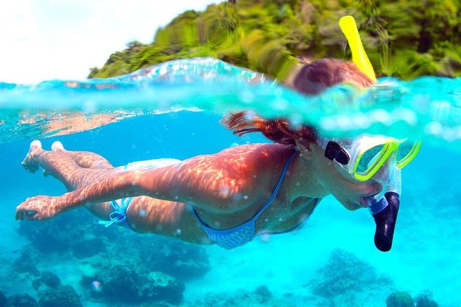 Full-Day Trip to Koh Tao and Koh Nang Yuan From Koh Samui by Speedboat - What To Expect