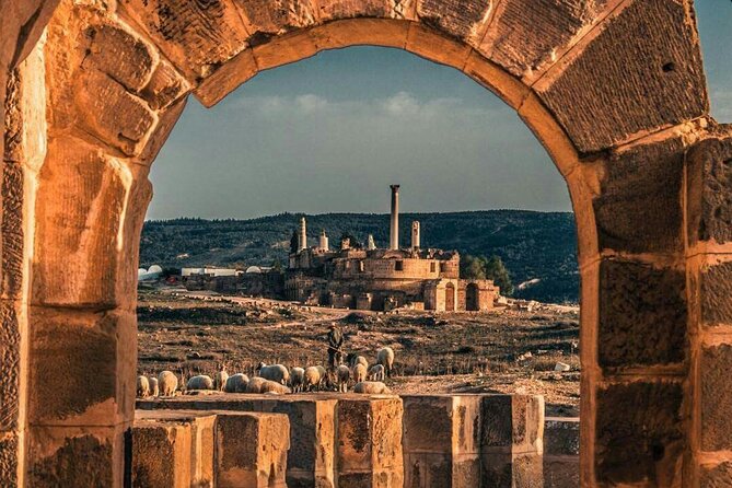 Full Day Uthina and Dougga Tour From Tunis - Itinerary Overview