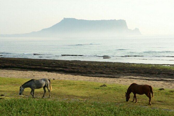 Full-Day Visiting Jeju Island Private Tour With Lunch in Jeju - Overview of the Tour