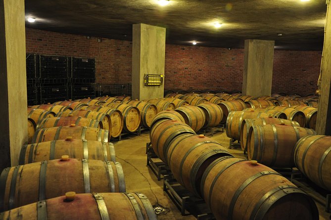 Full-Day Wine Tour From Istanbul - Positive Reviews