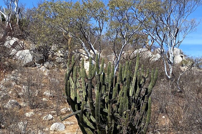 Fun Hiking Tour With Awesome Views - Trail Difficulty Levels