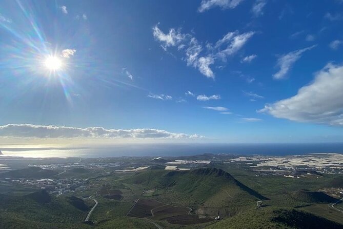 Gastro Wine Tour South Tenerife - Local Cuisine and Pairings