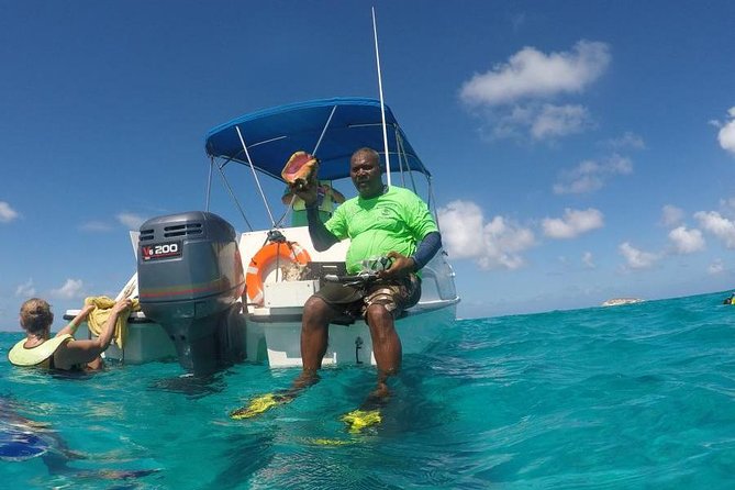 Gibbs Cay Stingray and Conch Dive Adventure - Unique and Intimate Experience