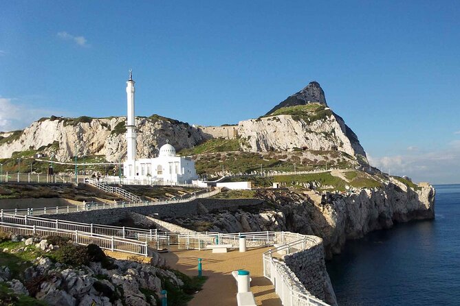 Gibraltar and Dolphins Cruise Day Trip From Costa Del Sol - What to Expect on the Tour