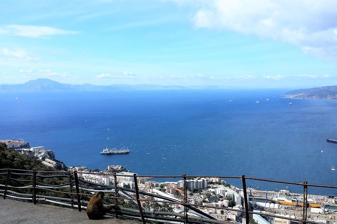 Gibraltar Private Tour From Marbella or Malaga - Mixed Experience and Criticism