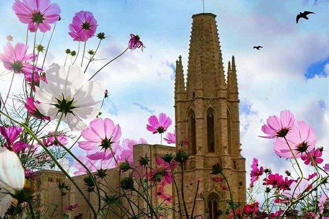 Girona Guided Tour With Cathedral, Arab Baths & St Feliu Basilica - The Sum Up