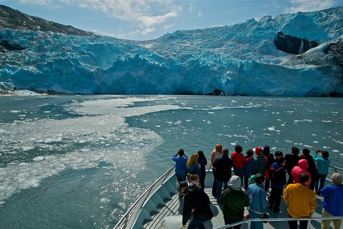 Glacier Quest Cruise - Self-Drive From Anchorage, AK - Cruise to Blackstone Bay for Glaciers and Wildlife