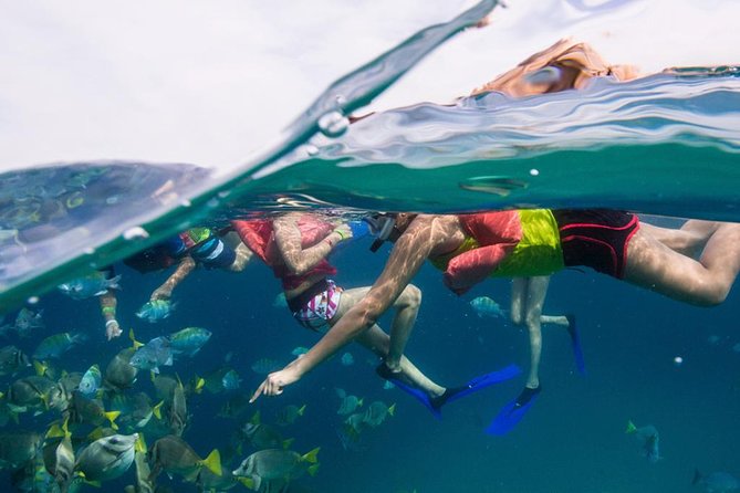 Glass-Bottom Boat Ride and Snorkel Tour in Cabo San Lucas - Traveler Photos and Reviews