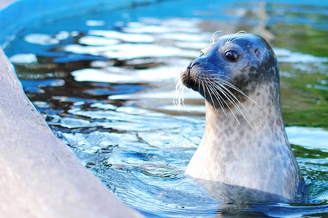Go City: Boston All-Inclusive Pass With 45 Attractions and Tours - Inclusions and Exclusions
