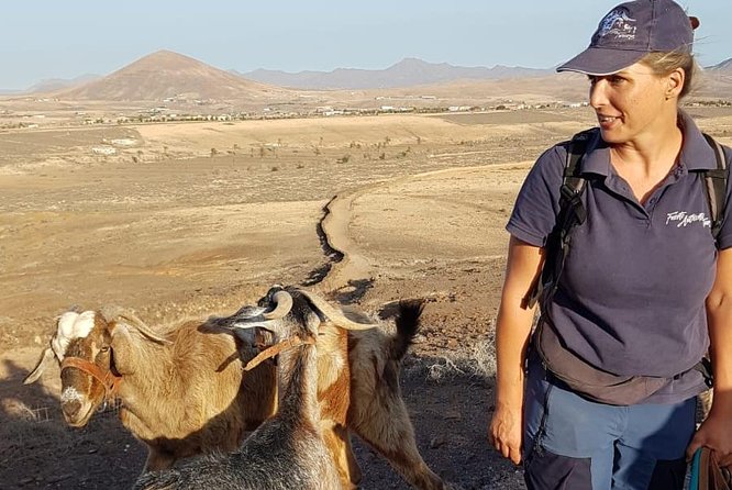 Goat Trekking Fuerteventura - Tips for a Successful Goat Trekking Experience