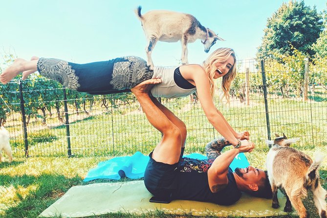 Goat Yoga and Wine Tasting - Alcoholic Beverages