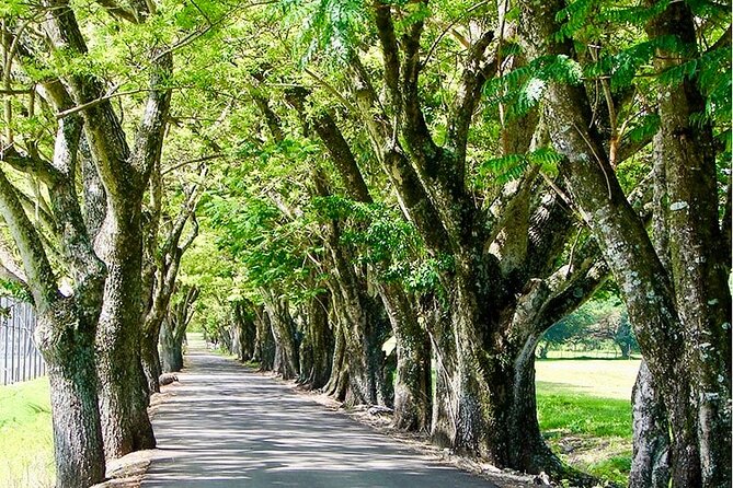 Golf Course Food Tour Return Transfer - Cancellation Policy