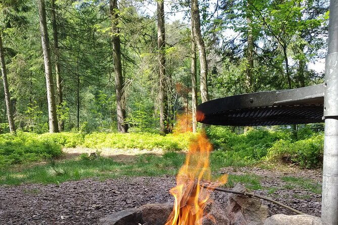 Gourmet Hike at the Halland Countryside Near Halmstad With Lunch - Logistics and Accessibility