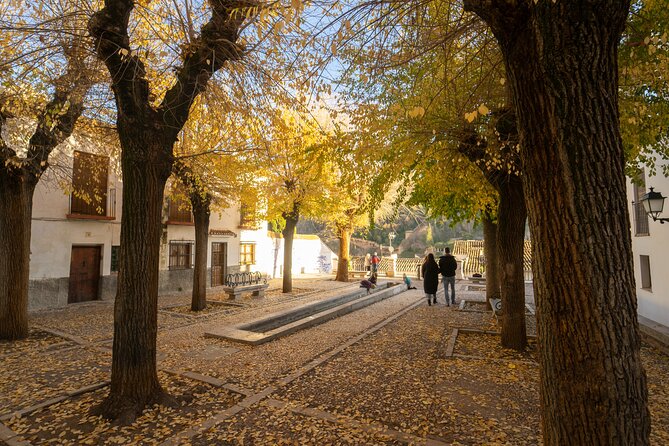 Granada: A Private Experience Walking Tour - Meeting and Confirmation