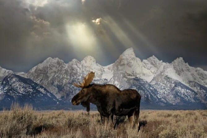 Grand Teton and Native American Petroglyph Tour - Pickup Information