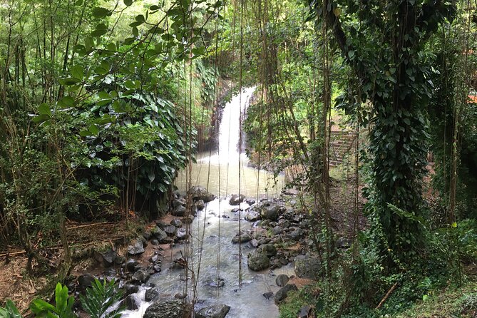 Grenada in a Nutshell- Deluxe Island Tour - Itinerary Overview