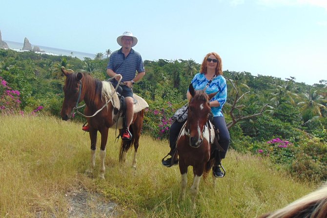 Gros Islet Private Horseback Riding and Waterfall Tour  - St Lucia - Tour Highlights and Inclusions