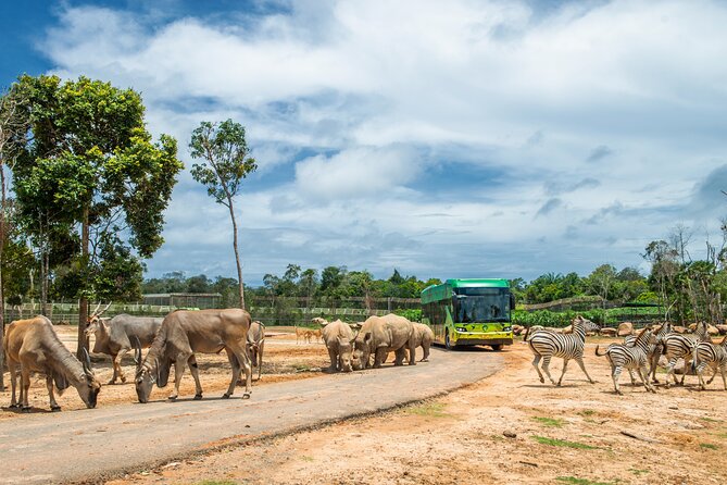 Guaranteed Departures: Vinpearl Safari & Countryside Pepper Farm - Free Transfers for Hotels North of Duong Dong